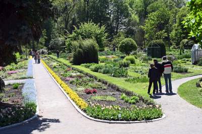 Najlepsze miejsce na spacer w Krakowie, zwłaszcza o tej porze roku - zdjęcie 9