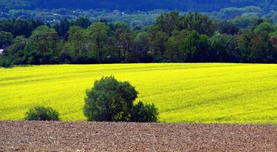 Słynna krzywa droga w Nowej Hucie i majowe klimaty koło Krakowa - zdjęcie 19