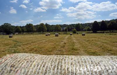 Niezłe zbiory pod Wawelem. Wiejskie klimaty w Krakowie - zdjęcie 16