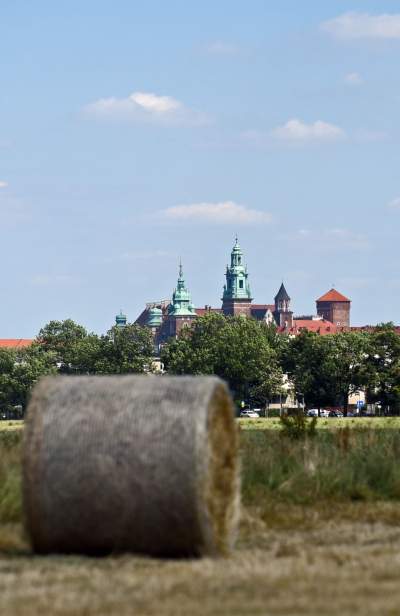 Niezłe zbiory pod Wawelem. Wiejskie klimaty w Krakowie - zdjęcie 14