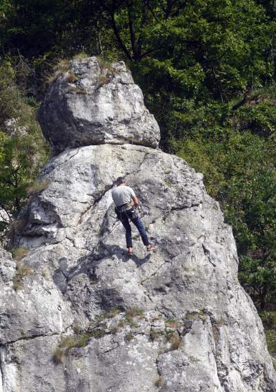 Zatrudnili kozy do utrzymania zieleni w pięknej podkrakowskiej dolinie... - zdjęcie 22