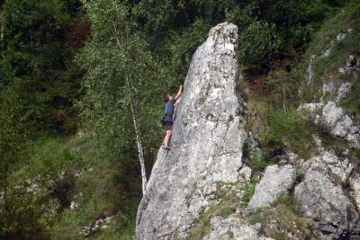 Zatrudnili kozy do utrzymania zieleni w pięknej podkrakowskiej dolinie... - zdjęcie 18