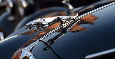 Tym samochodom pozwolono wjechać na Rynek Główny - zdjęcie 17