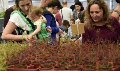 Kapitalna wystawa niezwykłych roślin - zdjęcie 23