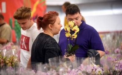 Kapitalna wystawa niezwykłych roślin - zdjęcie 34