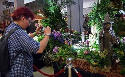 Kapitalna wystawa niezwykłych roślin - zdjęcie 4