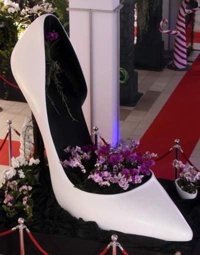 Kapitalna wystawa niezwykłych roślin - zdjęcie 35