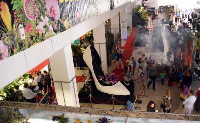 Kapitalna wystawa niezwykłych roślin - zdjęcie 19