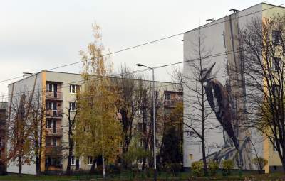 Dosłownie odlotowe murale, mieszkańcy zachwyceni - zdjęcie 13