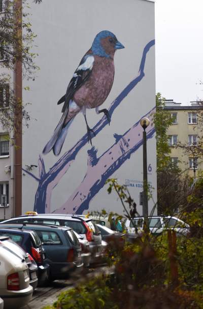 Dosłownie odlotowe murale, mieszkańcy zachwyceni - zdjęcie 6