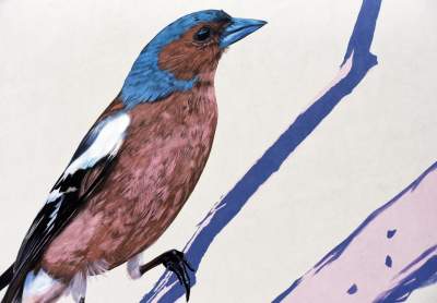 Dosłownie odlotowe murale, mieszkańcy zachwyceni - zdjęcie 3