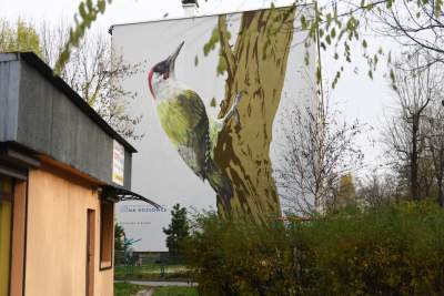 Dosłownie odlotowe murale, mieszkańcy zachwyceni - zdjęcie 23