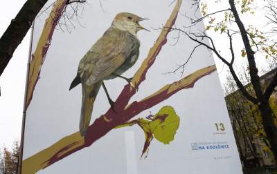 Dosłownie odlotowe murale, mieszkańcy zachwyceni - zdjęcie 24
