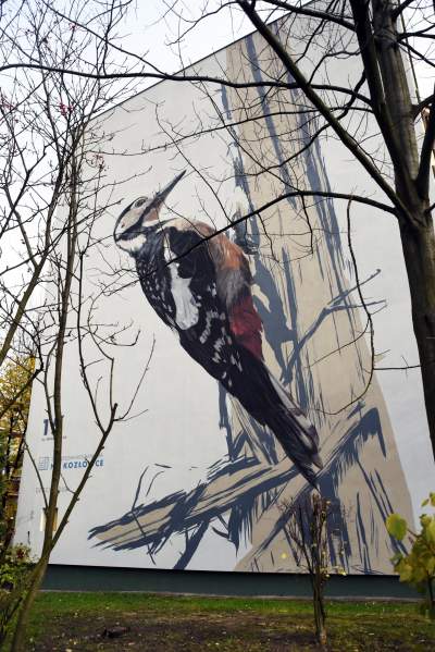 Dosłownie odlotowe murale, mieszkańcy zachwyceni - zdjęcie 8