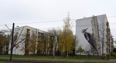 Dosłownie odlotowe murale, mieszkańcy zachwyceni - zdjęcie 15