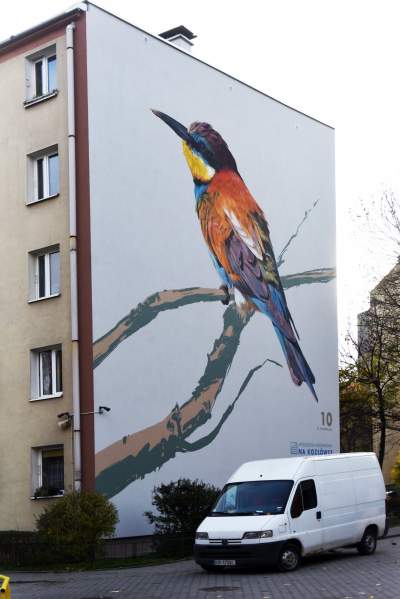 Dosłownie odlotowe murale, mieszkańcy zachwyceni - zdjęcie 20