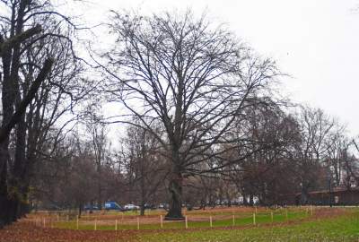 Planty: pierwsza w Krakowie galeria z pomnikami - zdjęcie 24