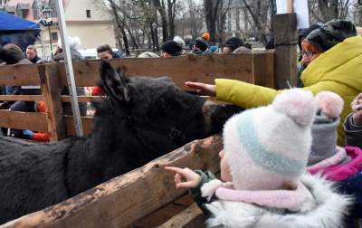 Proste, żywe i z rozmachem. Która szopka najciekawsza? - zdjęcie 11