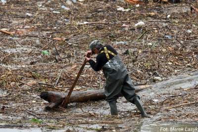 Stronniczy wybór zdjęć roku 2019, część pierwsza - zdjęcie 20