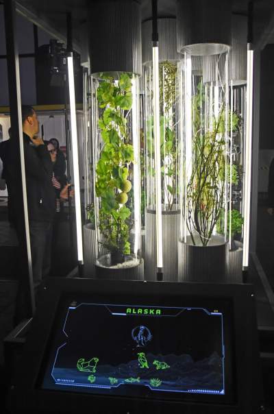 Koniecznie trzeba odwiedzić to miejsce, mamy na to rok - zdjęcie 5