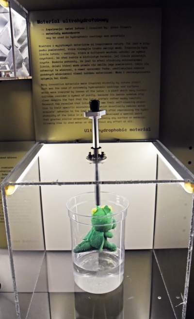 Koniecznie trzeba odwiedzić to miejsce, mamy na to rok - zdjęcie 9