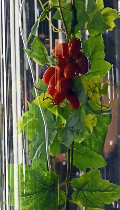 Koniecznie trzeba odwiedzić to miejsce, mamy na to rok - zdjęcie 22