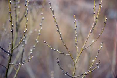 Jakby się ktoś pytał, to mamy w Krakowie środek zimy - zdjęcie 14