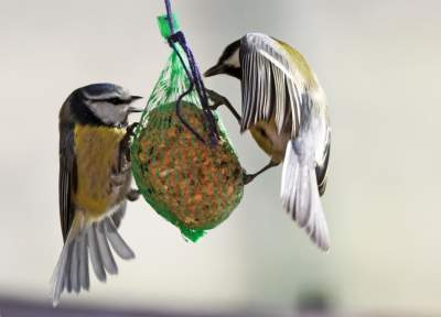 Jakby się ktoś pytał, to mamy w Krakowie środek zimy - zdjęcie 12