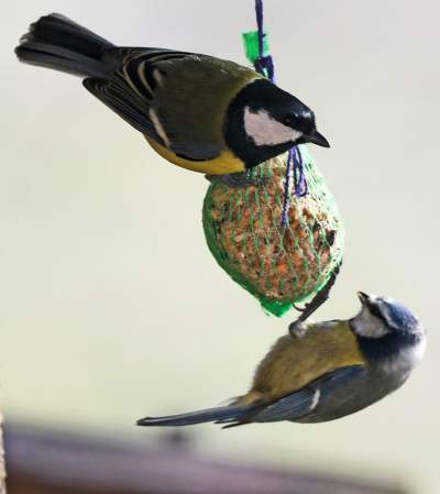 Jakby się ktoś pytał, to mamy w Krakowie środek zimy - zdjęcie 9