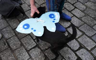 Działo się przed krakowskim magistratem... - zdjęcie 17