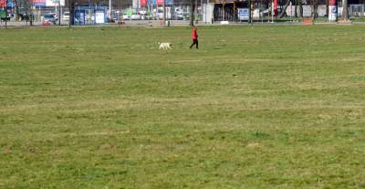 Takich zakazów nigdy do tej pory nie było... fot. Marek Lasyk - zdjęcie 2