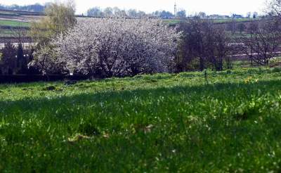 Prawie w Krakowie, choć krajobraz miejscami jak... w Kieleckiem - zdjęcie 20