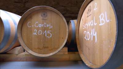 Tutaj świętują 11 listopada butelkami szczególnego wina - zdjęcie 15