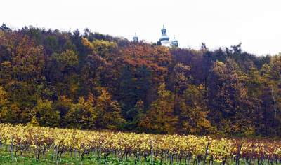 Tutaj świętują 11 listopada butelkami szczególnego wina - zdjęcie 4