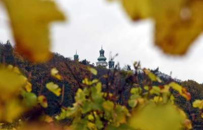 Tutaj świętują 11 listopada butelkami szczególnego wina - zdjęcie 3