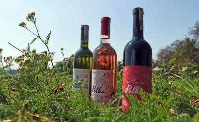 Tutaj świętują 11 listopada butelkami szczególnego wina - zdjęcie 13