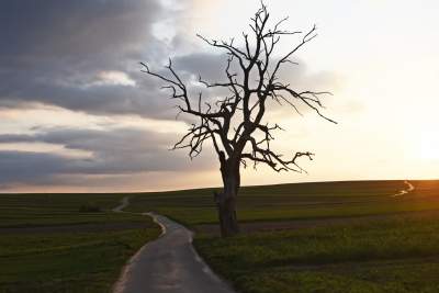 Chodźże, wyjdź na pole. Magiczne miejsce niedaleko Krakowa - zdjęcie 25