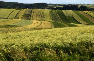 Sułoszowa. O każdej porze roku miejsce magiczne.