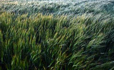 Sułoszowa. O każdej porze roku miejsce magiczne.