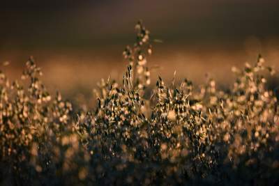 Sułoszowa. O każdej porze roku miejsce magiczne.