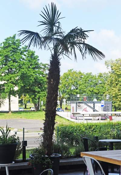 ArtSfera: nowa przestrzeń dla ludzi zaangażowanych w sztukę, fot. Marek Lasyk - zdjęcie 5