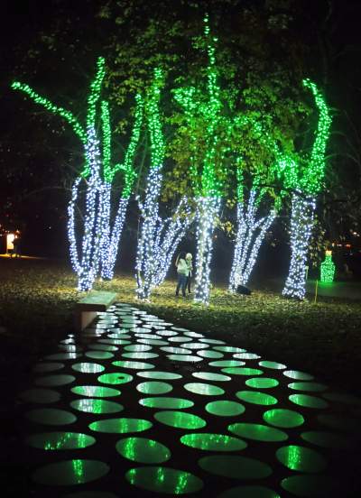 Tu na szczęście nie ma lockdownu... - zdjęcie 56