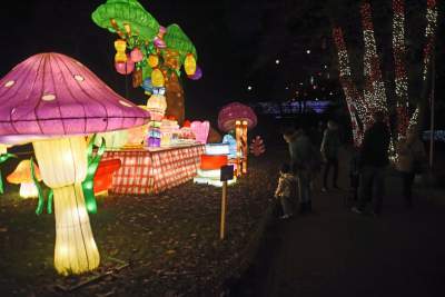 Tu na szczęście nie ma lockdownu... - zdjęcie 52