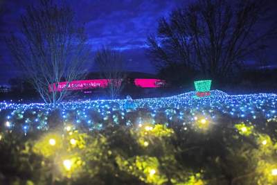 Tu na szczęście nie ma lockdownu... - zdjęcie 41