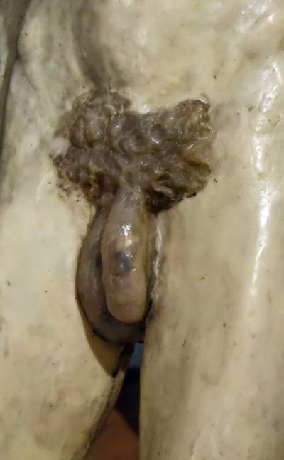 Eksperymentalna wystawa w Muzeum Narodowym - zdjęcie 3