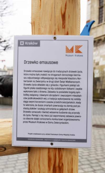 Drzewko emausowe na Rynku - zdjęcie 20