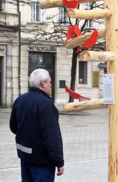 Drzewko emausowe na Rynku - zdjęcie 32