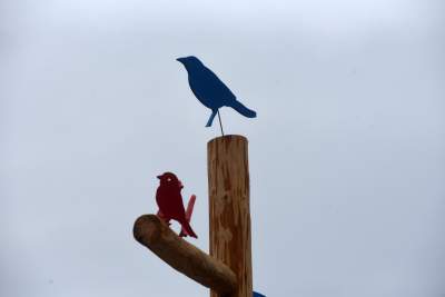 Drzewko emausowe na Rynku - zdjęcie 22