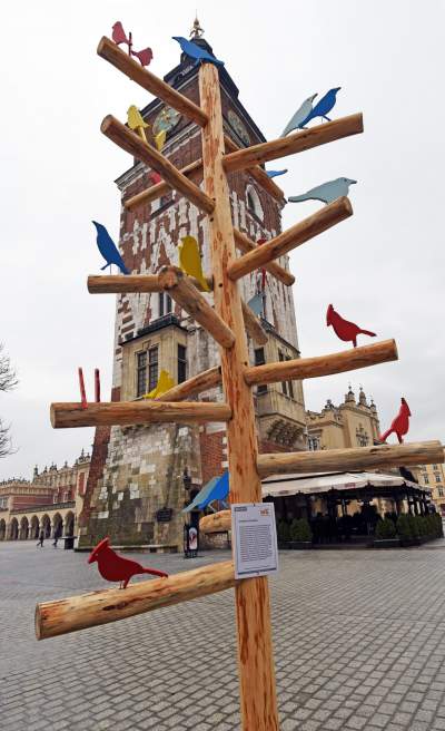 Drzewko emausowe na Rynku - zdjęcie 19