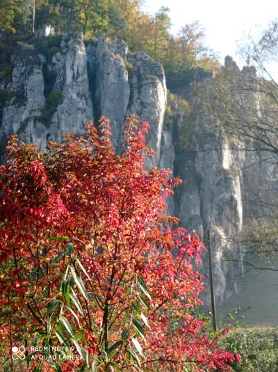 Tu jest pięknie: Dolina Prądnika w obiektywie Marcina Szymańskiego - zdjęcie 22